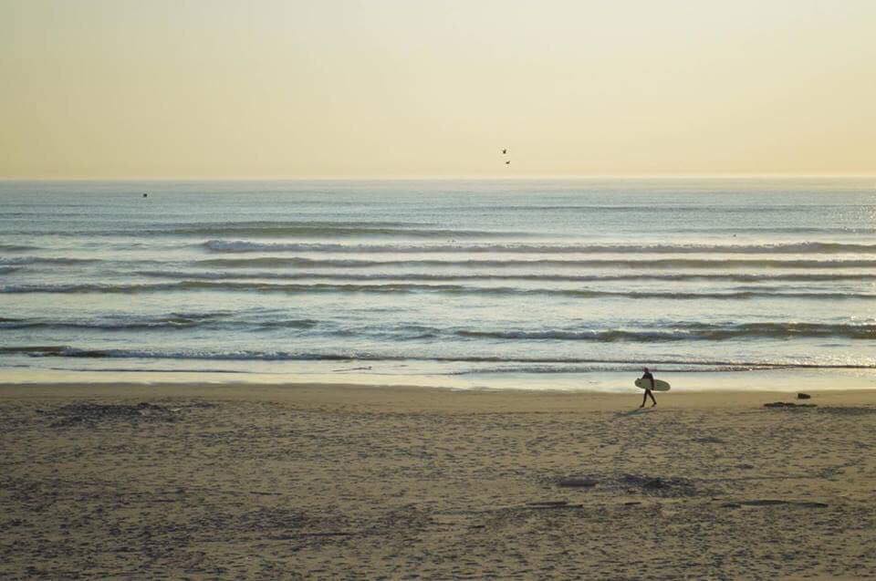 Beach on Grays Harbor County Washington