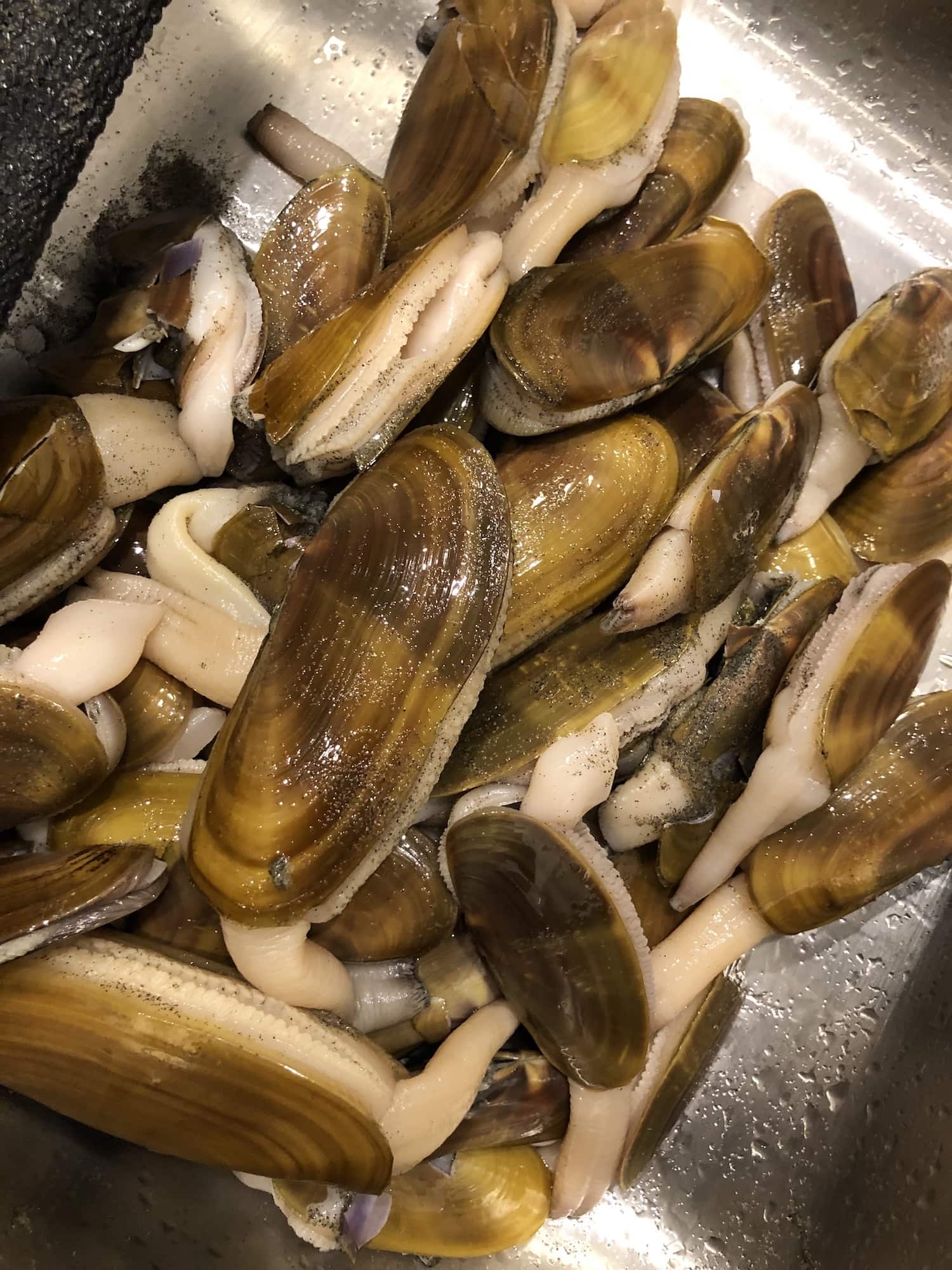 5 things to do while razor clam digging